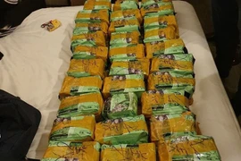 Un réseau de drogue démantelé, près de 650 kg de drogue saisis