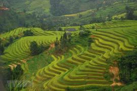 Les associations coopèrent pour promouvoir le tourisme local