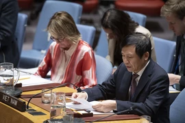 Le Vietnam préside une réunion du Groupe de travail sur les tribunaux internationaux