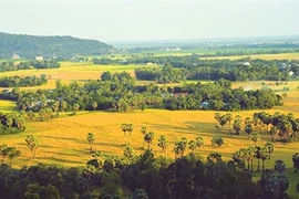 Échappée belle à An Giang au temps des moissons