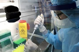  Aucun nouveau cas du COVID-19 n'est enregistré au Vietnam
