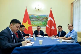 Vietnam-Turquie: entretien téléphonique de vice-ministres des Affaires étrangères