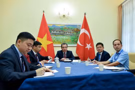 Vietnam-Turquie: entretien téléphonique de vice-ministres des Affaires étrangères