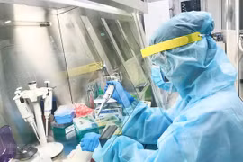 COVID-19 : le dernier patient à Dong Nai est guéri