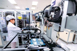 Investissements des Viet kieu: de nombreuses politiques préférentielles