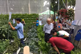 HCM-V: forte croissance de la valeur de production agricole en 2019