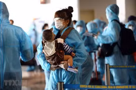 Plus de 220 citoyens vietnamiens rapatriés du Japon