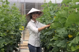 Un jeune couple fait fortune grâce à l’agriculture high-tech