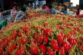 Vietnam-Chine: plus de 9,8 milliards de dollars d’import-export de produits agricoles