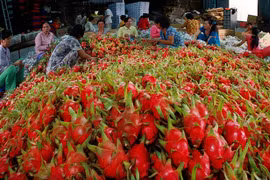 Vietnam-Chine: plus de 9,8 milliards de dollars d’import-export de produits agricoles