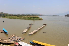 Le Vietnam prêt à unir ses forces pour utiliser durablement les ressources en eau du Mékong
