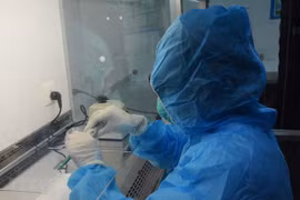 Le Vietnam n’enregistre aucun nouveau cas de COVID-19 en 24 heures