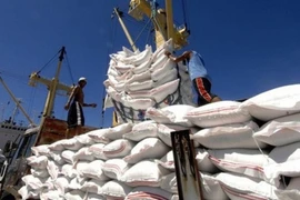 Les prix à l'exportation du riz vietnamien en hausse au cours des neuf derniers mois 