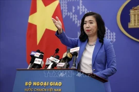 Mer Orientale : la position du Vietnam reste immuable