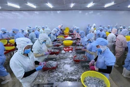 Les exportations de produits aquatiques montrent des signes de reprise