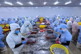 Les exportations de produits aquatiques montrent des signes de reprise