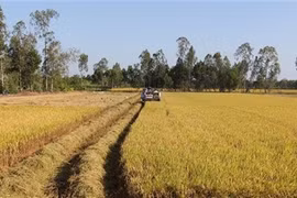 Le premier musée de l’agriculture à Vinh Long