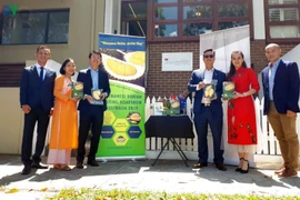 Le durian vietnamien à la conquête du marché autralien