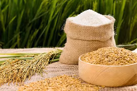 Le riz reste un point positif dans le tableau des exportations