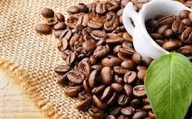 Café: plus de 1,6 milliard de dollars d’exportation au 1er semestre