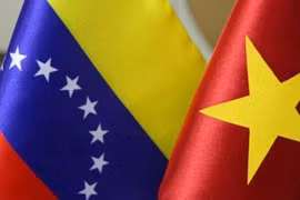 Le Vietnam et le Venezuela tiennent la 8e consultation politique