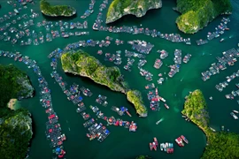 Le Vietnam parmi les premières destinations tendance en 2020