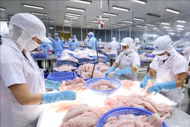 Vietnam et Russie peuvent booster leur commerce des produits agricole