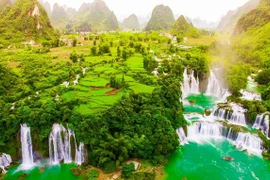 Le Vietnam parmi les meilleures destinations pour voyager en solitaire