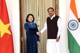 Entretien entre les vice-présidents vietnamien et indien à New Delhi