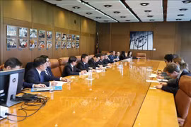 Audit : Vietnam et Allemagne promeuvent leur coopération 