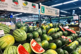 Exportation de fruits en UE: de nouvelles opportunités sont attendues