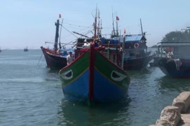 Incident d’un navire de pêche vietnamien : demander une coopération de la partie chinoise 