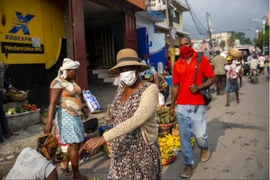 Le Vietnam et l’Indonésie soutiennent les réformes constitutionnelles en Haïti