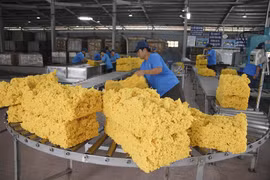 Les ventes de produits en caoutchouc en Pologne en forte hausse 