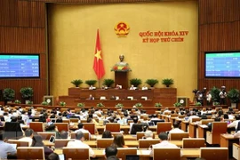 9e session de l’AN : adoption de deux résolutions et d'une loi
