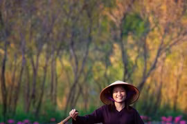 Explorer le Vietnam à travers de magnifiques œuvres photographiques