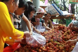 Forum Vietnam-Chine sur les fruits et légumes à Lang Son 