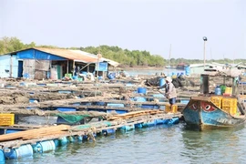 Voyage au village des huîtres de Long Son