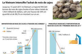 [Infographie] Le Vietnam intensifie l’achat de noix de cajou