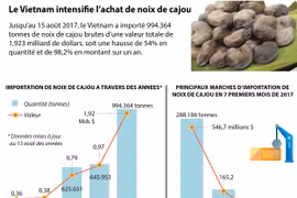 [Infographie] Le Vietnam intensifie l’achat de noix de cajou