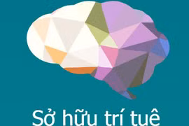 La WIPO aide le Vietnam à développer la propriété intellectuelle