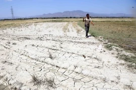 Séminaire sur des solutions au changement climatique dans le delta du Mékong