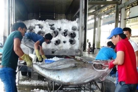 Hausse des exportations de produits aquatiques en huit mois 