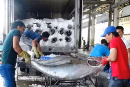 Hausse des exportations de produits aquatiques en huit mois 