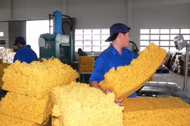 979.000 tonnes de caoutchouc exportées en 9 mois