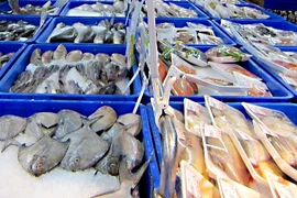 Bientôt une exposition internationale sur l’aquaculture à Can Tho