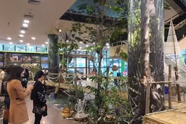 Ouverture de la Semaine verte du tourisme et du patrimoine à Hanoi 