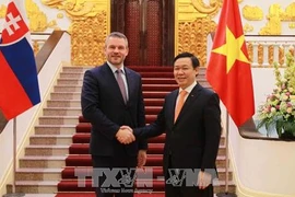 Accélérer la promotion commerciale et d’investissement Vietnam-Slovaquie 