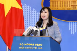 Le point sur les mesures de protection des citoyens vietnamiens à l'étranger 