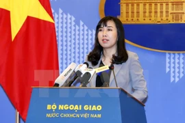Le point sur les mesures de protection des citoyens vietnamiens à l'étranger 